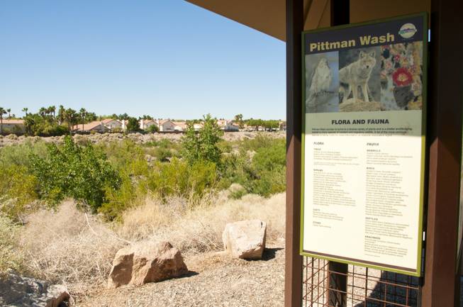 Pittman Wash Pittman Wash